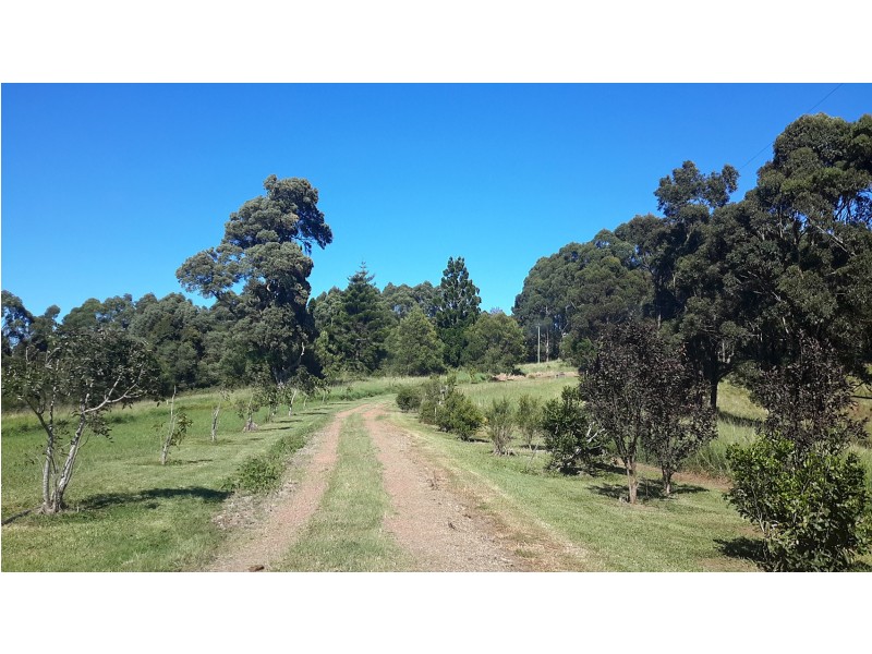 847 Tully Falls Rd, Ravenshoe QLD 4888