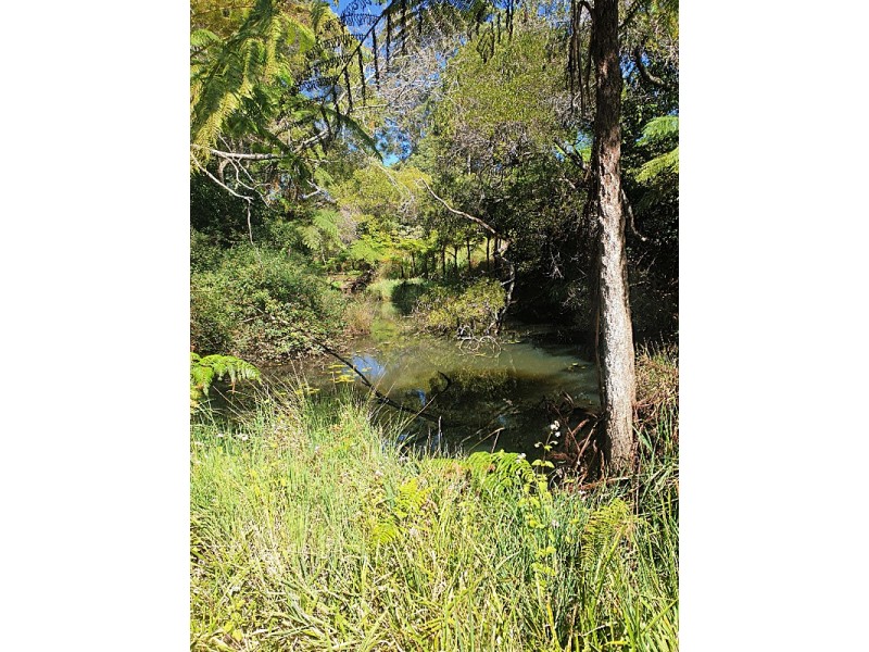 847 Tully Falls Rd, Ravenshoe QLD 4888