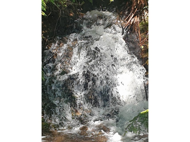 847 Tully Falls Rd, Ravenshoe QLD 4888