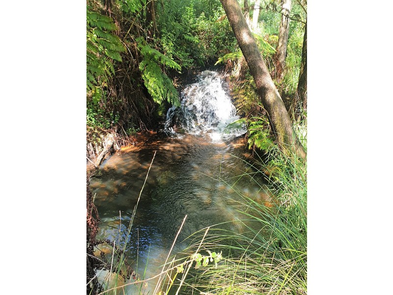 847 Tully Falls Rd, Ravenshoe QLD 4888