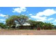 Lot 40 Quartz Street, Mount Surprise QLD 4871