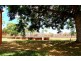 Lot 40 Quartz Street, Mount Surprise QLD 4871