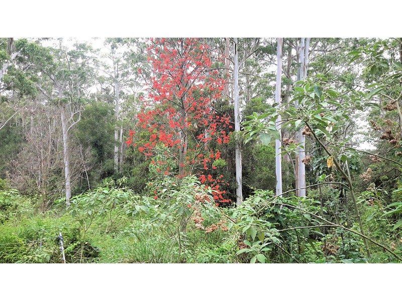 119 Cockram Rd, Ravenshoe QLD 4888