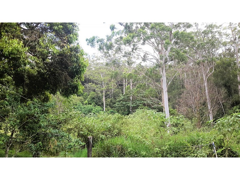 119 Cockram Rd, Ravenshoe QLD 4888