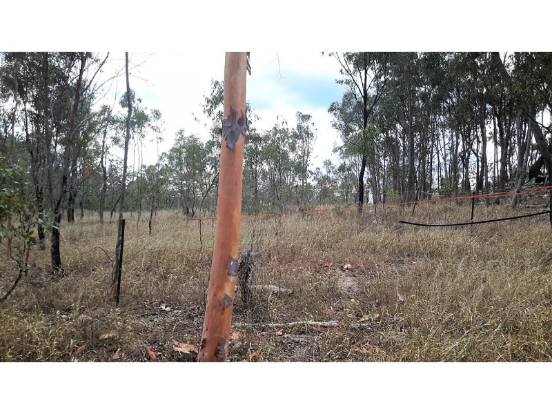 906 Wooroora Rd, Millstream QLD 4888