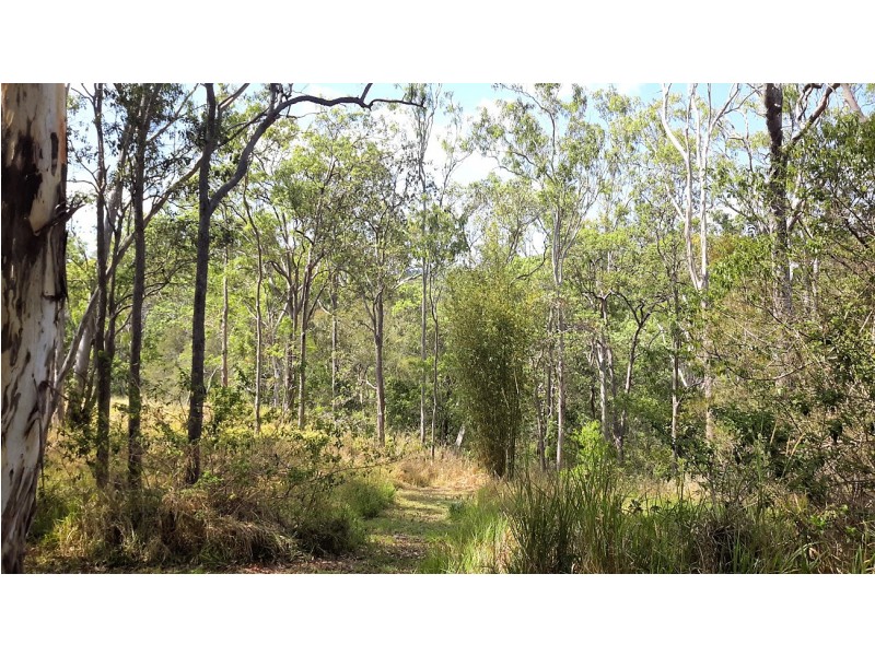 196 Greys Lane, Ravenshoe QLD 4888