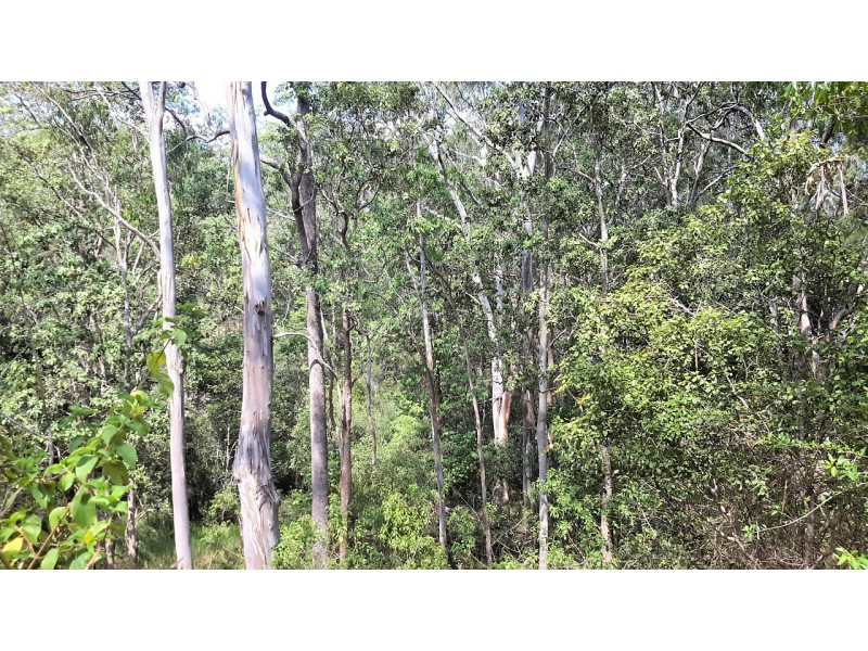 196 Greys Lane, Ravenshoe QLD 4888