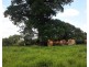 203 Mullins Rd, Beatrice QLD 4886