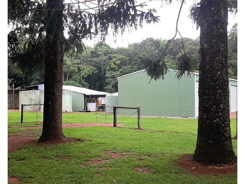100 Arthur Baillie Rd, Ravenshoe QLD 4888