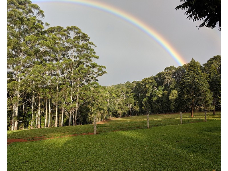 100 Arthur Baillie Rd, Ravenshoe QLD 4888