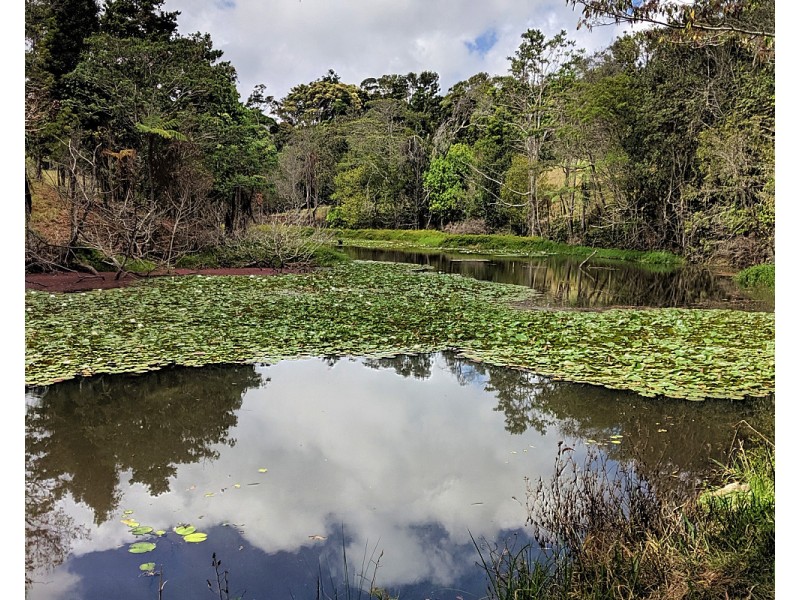 100 Arthur Baillie Rd, Ravenshoe QLD 4888