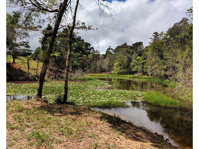 100 Arthur Baillie Rd, Ravenshoe QLD 4888