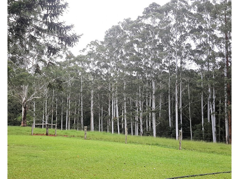 100 Arthur Baillie Rd, Ravenshoe QLD 4888