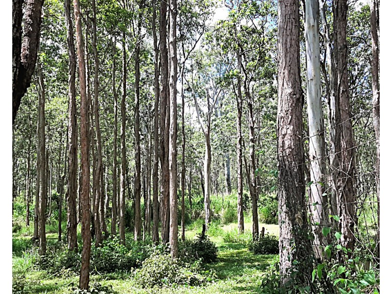 77 Greys Lane, Ravenshoe QLD 4888