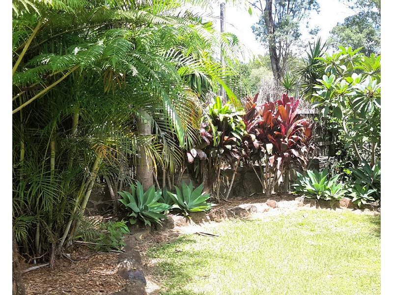 55 Tully Falls Rd, Ravenshoe QLD 4888