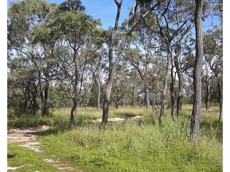 274 Tobacco Rd, Silver Valley QLD 4872