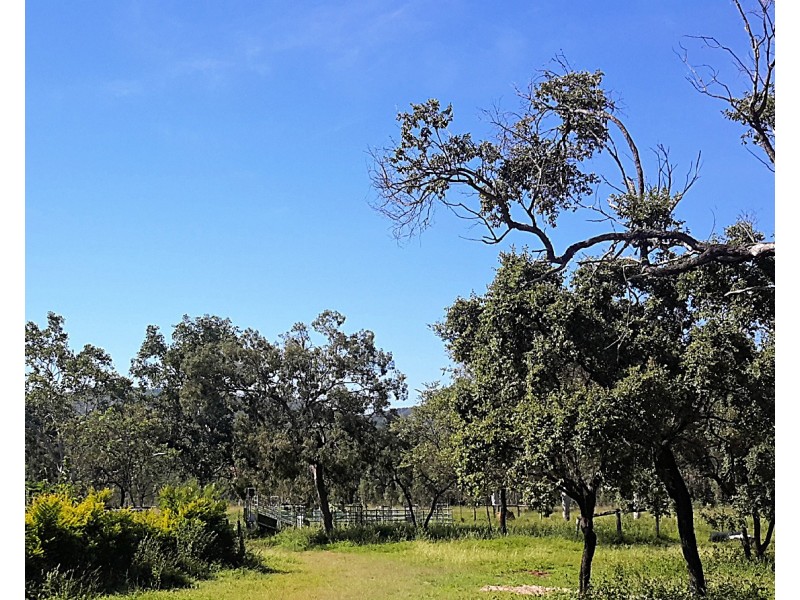 274 Tobacco Rd, Silver Valley QLD 4872