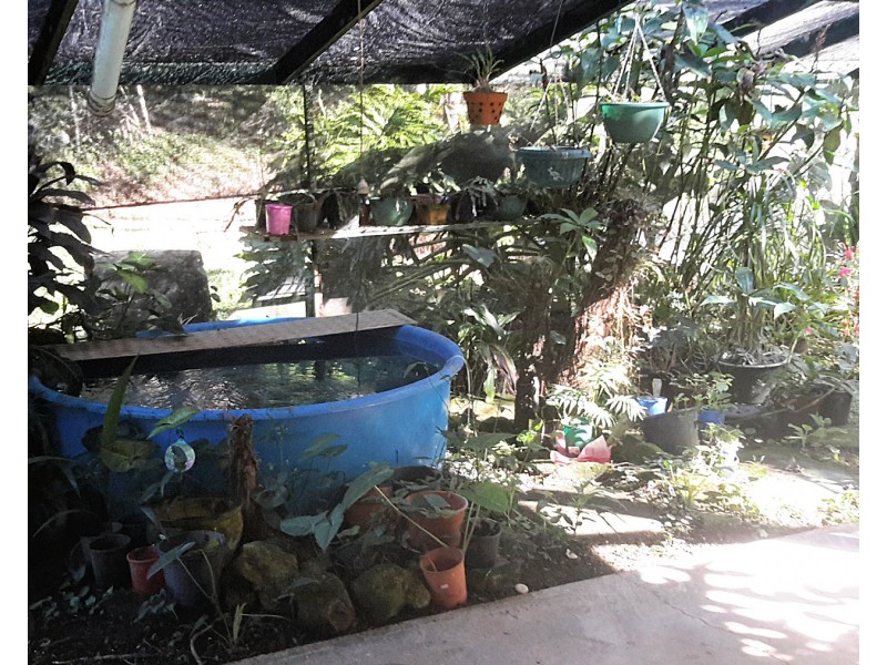 1052 East Evelyn Rd, Evelyn QLD 4888