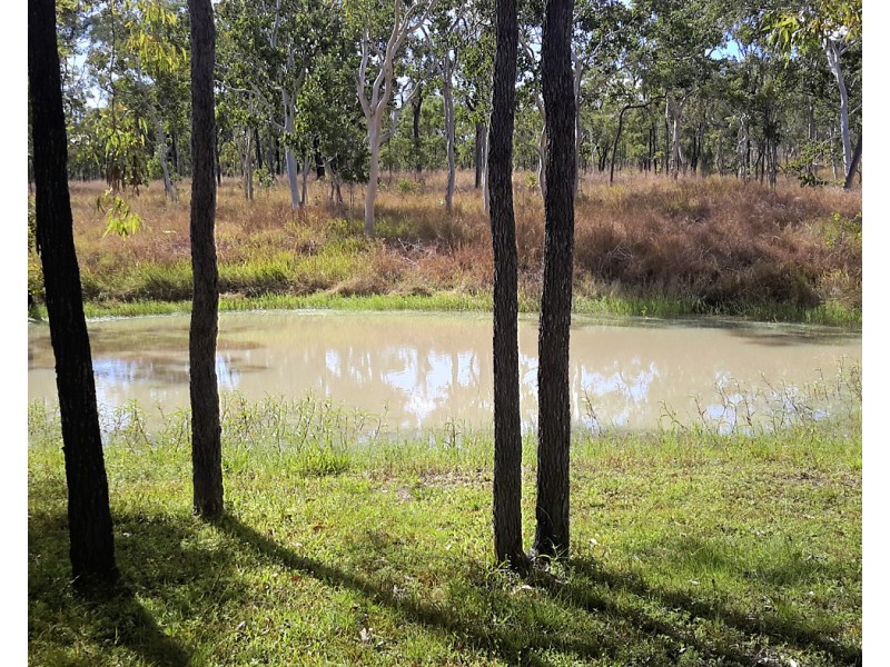 213 Wild River Road, Millstream QLD 4888