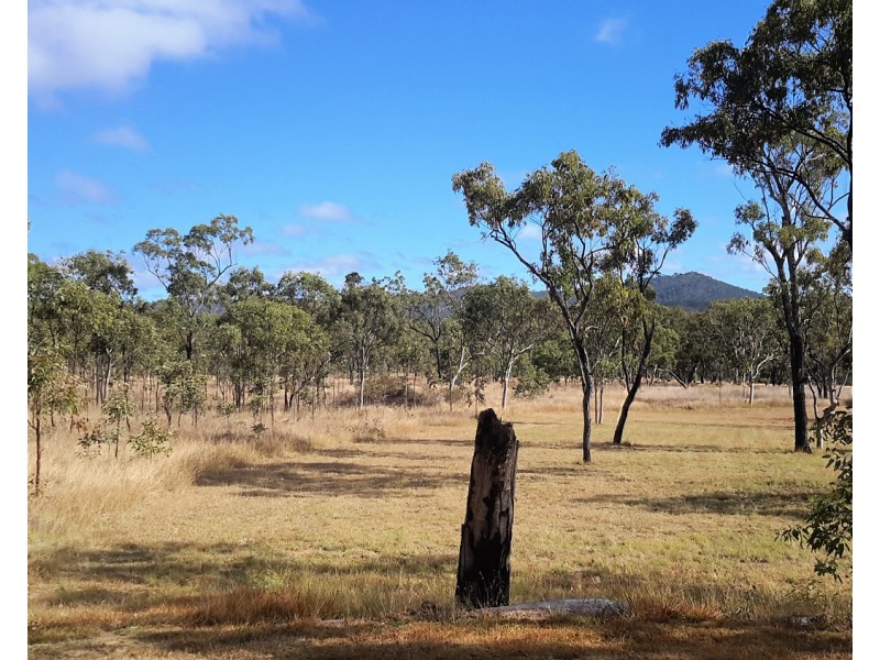 213 Wild River Road, Millstream QLD 4888