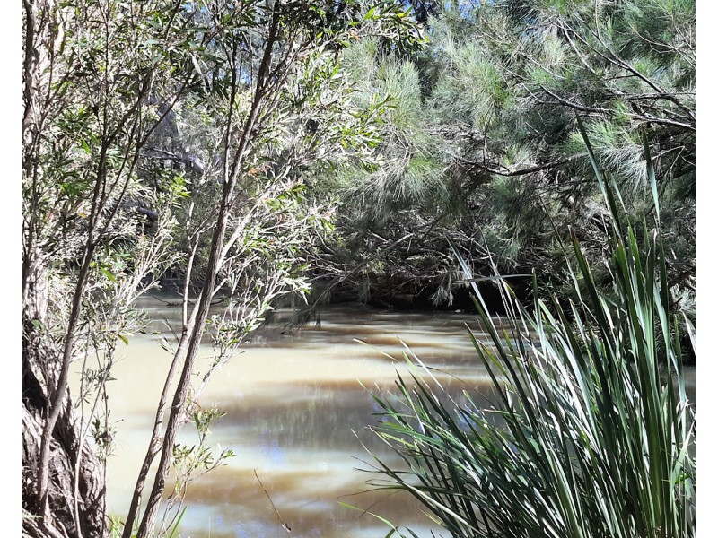 213 Wild River Road, Millstream QLD 4888