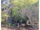 3 Wurruma Swamp Rd, Mount Garnet QLD 4872