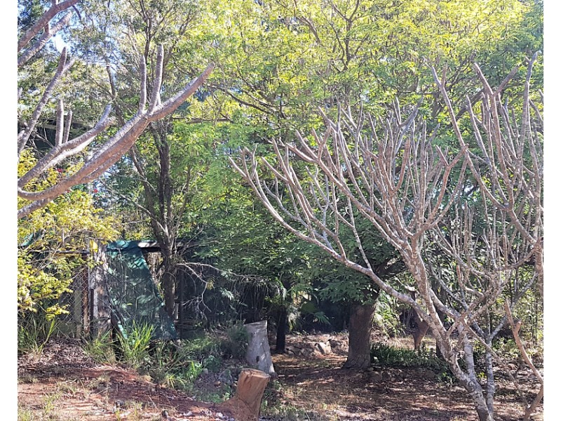 3 Wurruma Swamp Rd, Mount Garnet QLD 4872