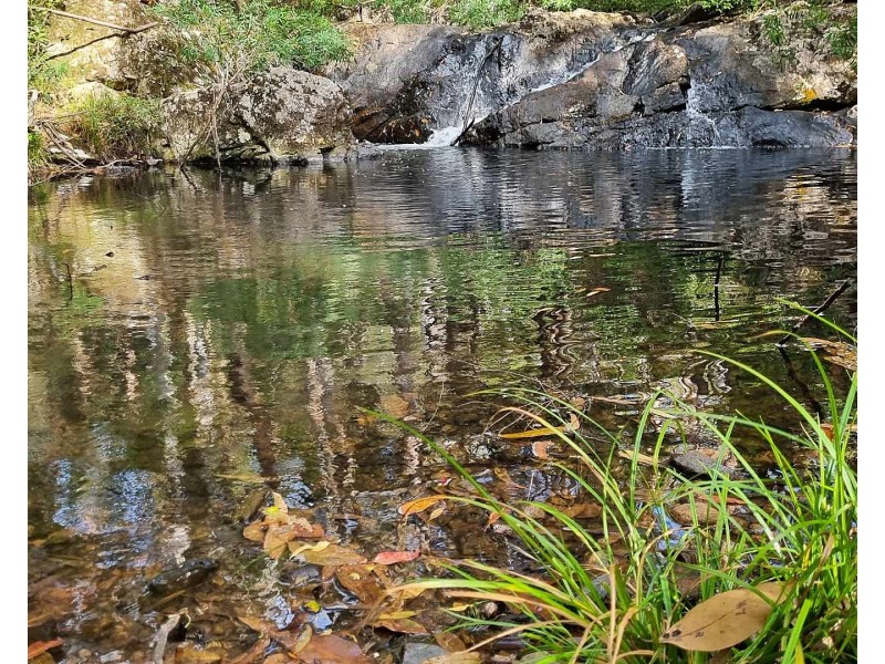 56 Webster Rd, Wondecla QLD 4887