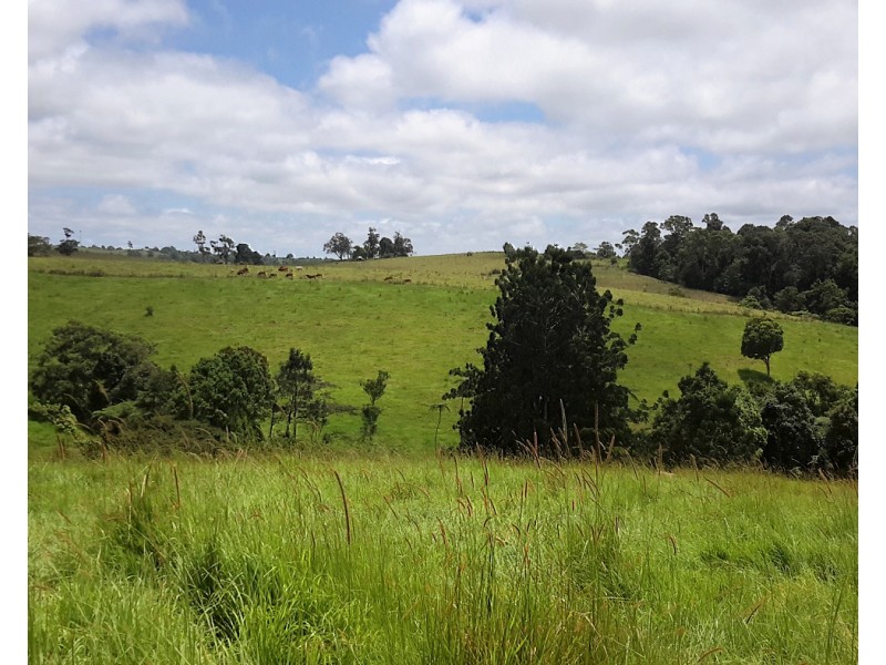 77 Mullins Rd, Beatrice QLD 4886