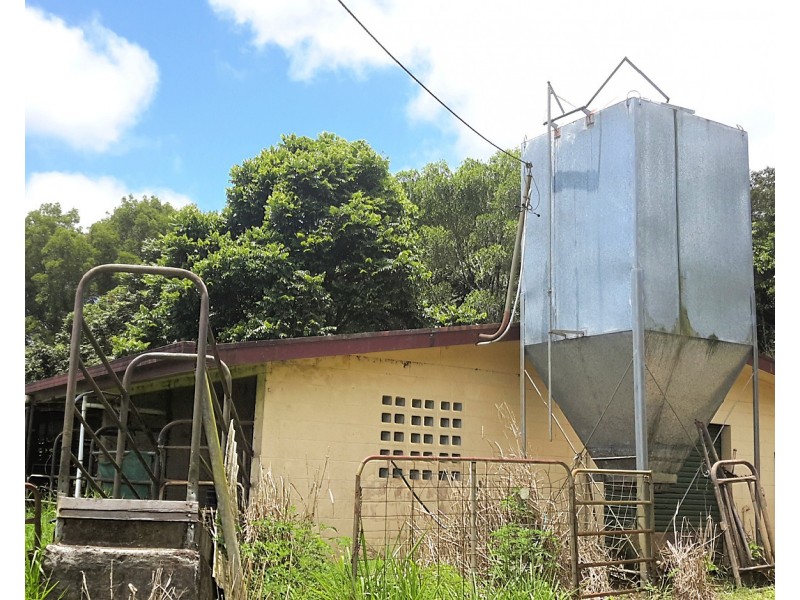77 Mullins Rd, Beatrice QLD 4886