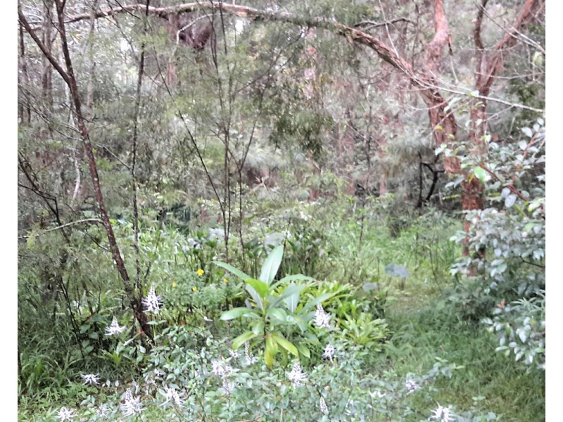 18 Dielhof Dr, Wondecla QLD 4887