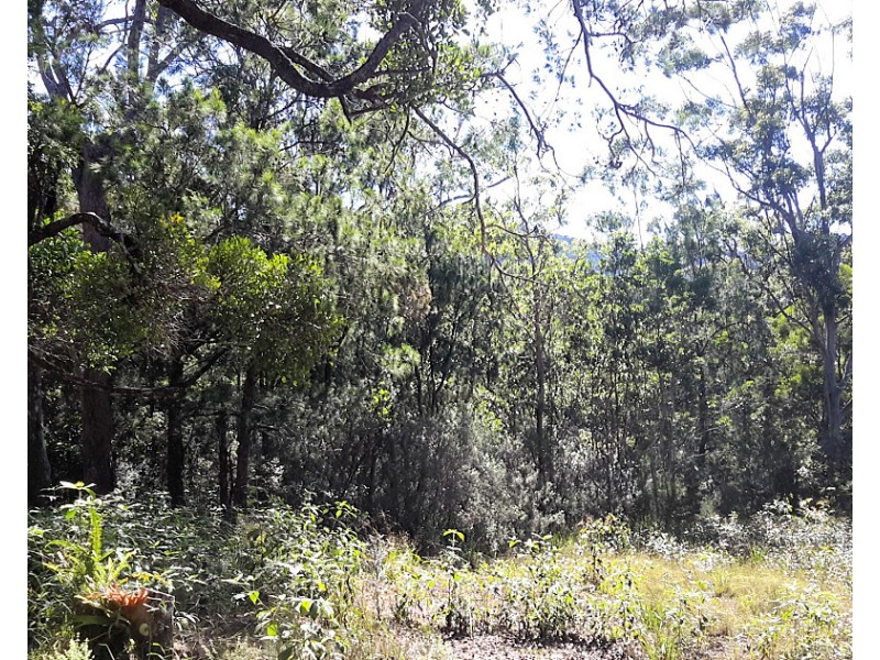 109 Gold Coast Rd, Ravenshoe QLD 4888