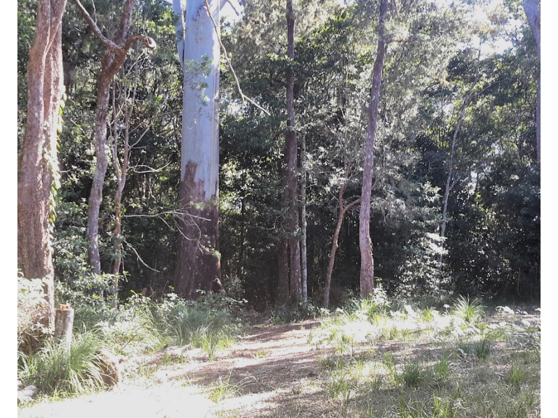 109 Gold Coast Rd, Ravenshoe QLD 4888