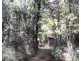 161 Gold Coast Road, Ravenshoe QLD 4888