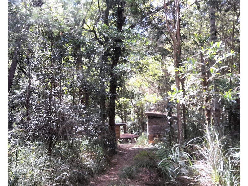 161 Gold Coast Road, Ravenshoe QLD 4888
