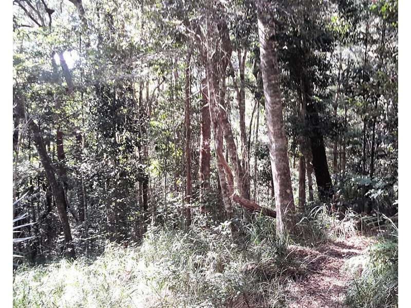 161 Gold Coast Road, Ravenshoe QLD 4888