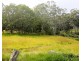 202 Greys Lane, Ravenshoe QLD 4888
