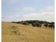1054 East Evelyn Rd, Evelyn QLD 4888