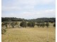 1054 East Evelyn Rd, Evelyn QLD 4888