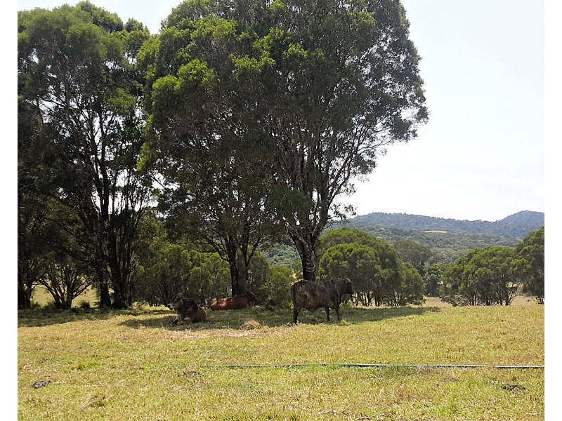 1054 East Evelyn Rd, Evelyn QLD 4888