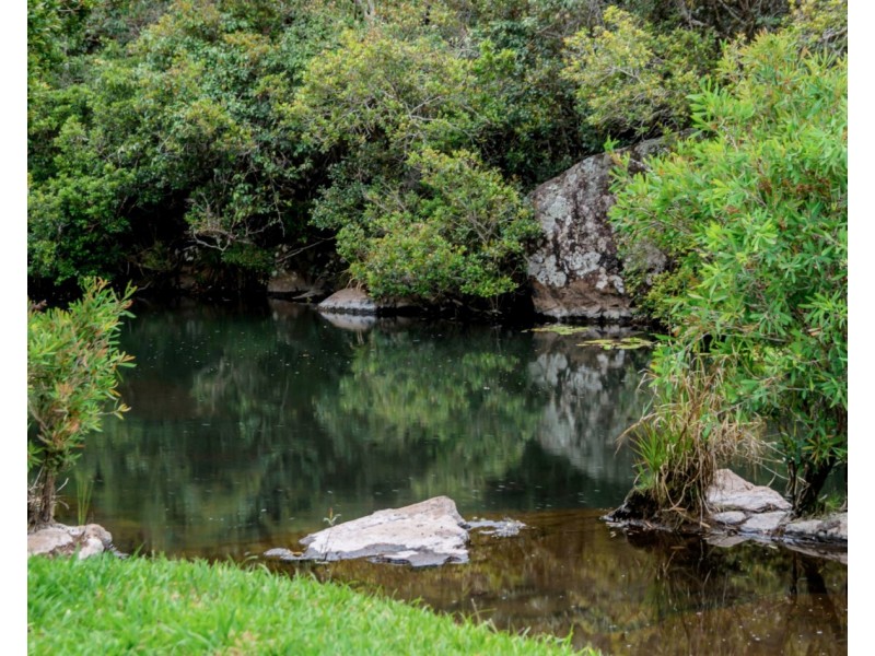 12 Fern Tree Pocket Rd, Ravenshoe QLD 4888