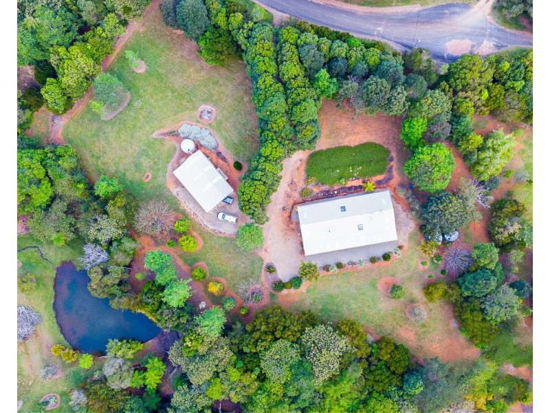 12 Fern Tree Pocket Rd, Ravenshoe QLD 4888