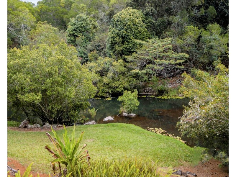 12 Fern Tree Pocket Rd, Ravenshoe QLD 4888