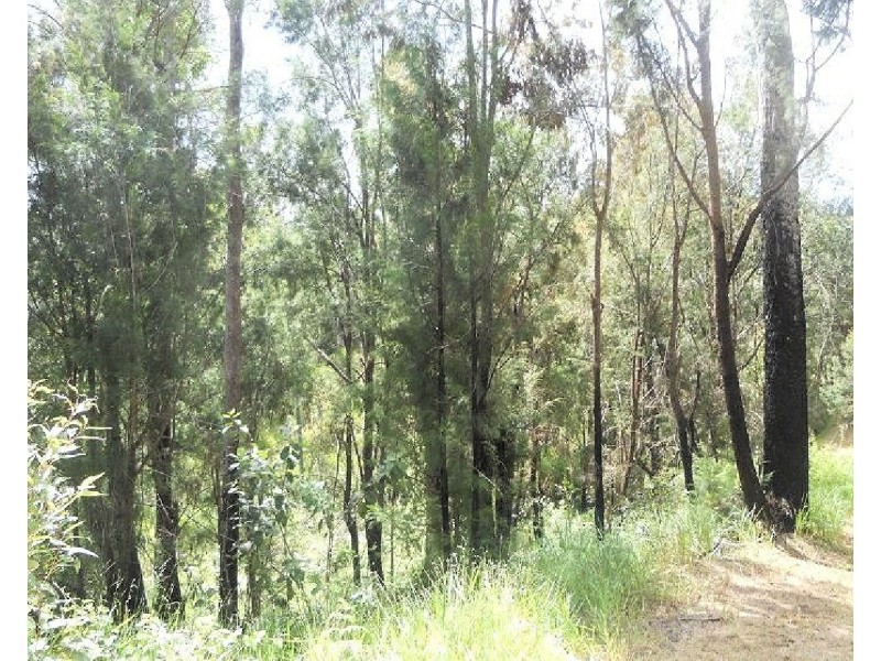 305 Greys Lane, Ravenshoe QLD 4888