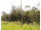 305 Greys Lane, Ravenshoe QLD 4888