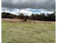13922 Kennedy Hwy, Millstream QLD 4888
