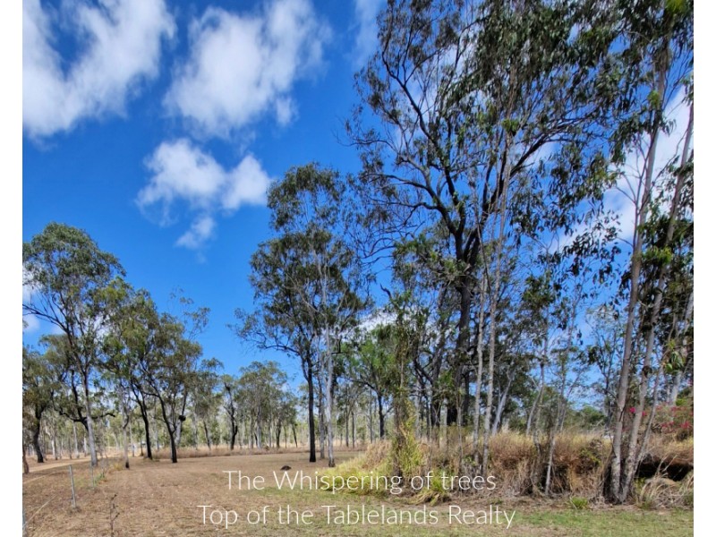 231 Jacaranda, Millstream QLD 4888
