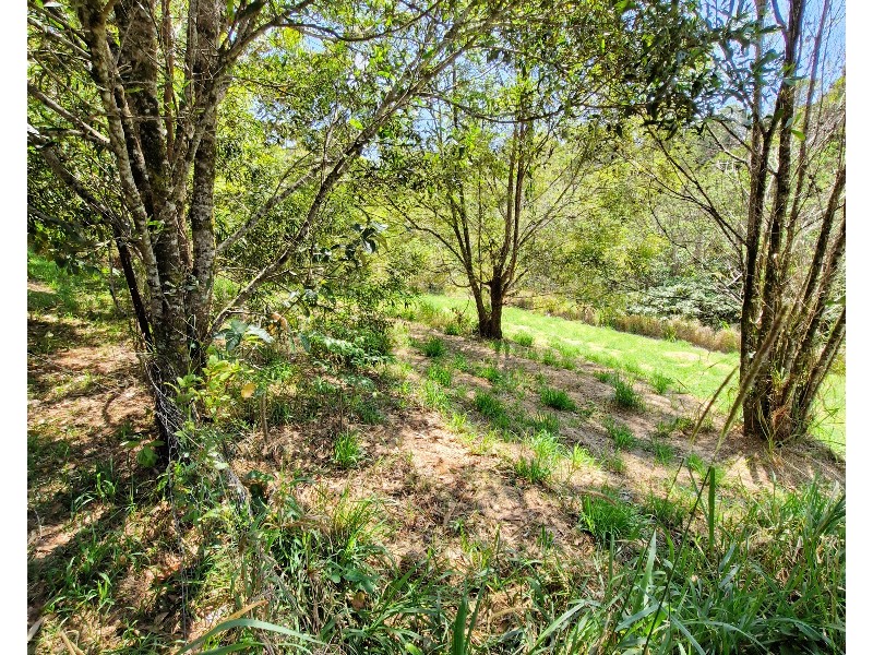 62 Bellview Dr, Ravenshoe QLD 4888