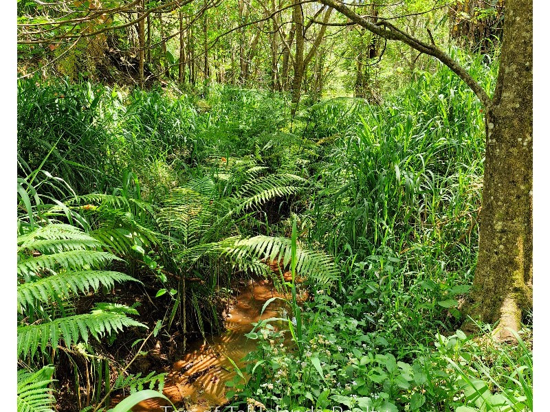 62 Bellview Dr, Ravenshoe QLD 4888