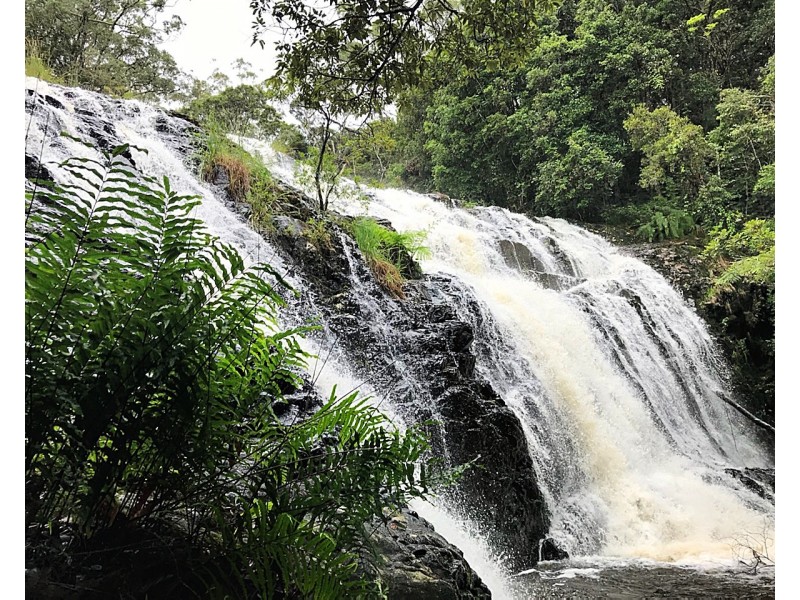 11551 Kennedy Hwy, Evelyn QLD 4888